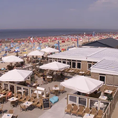 Backyard 알크마르