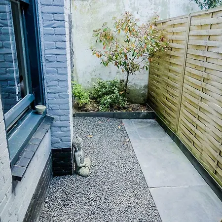 Backyard *